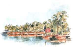 Fish Creek Landscape